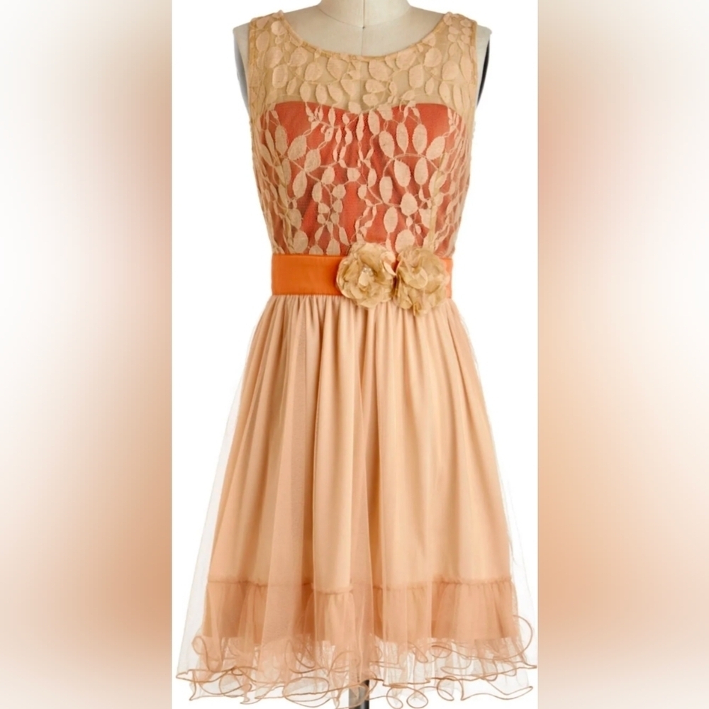 Ryu Peach And Beige Lace Dress with Floral Accent L NWOT